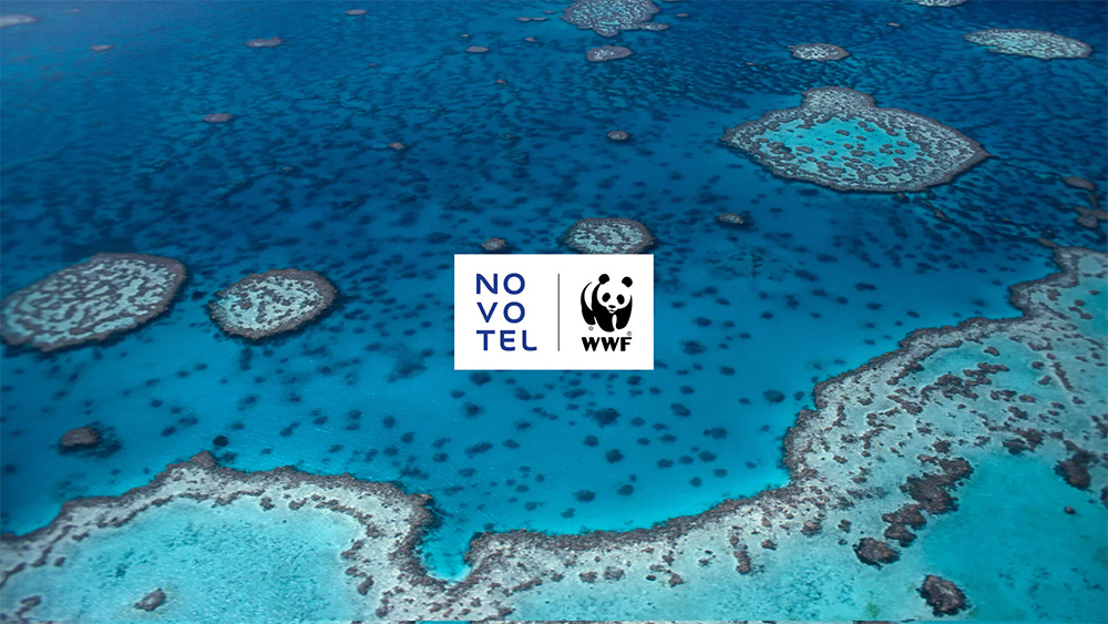 Aerial view of ocean reef