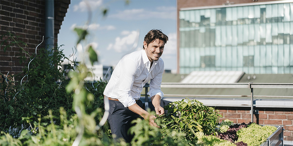 Chef harvesting herbs outdoors