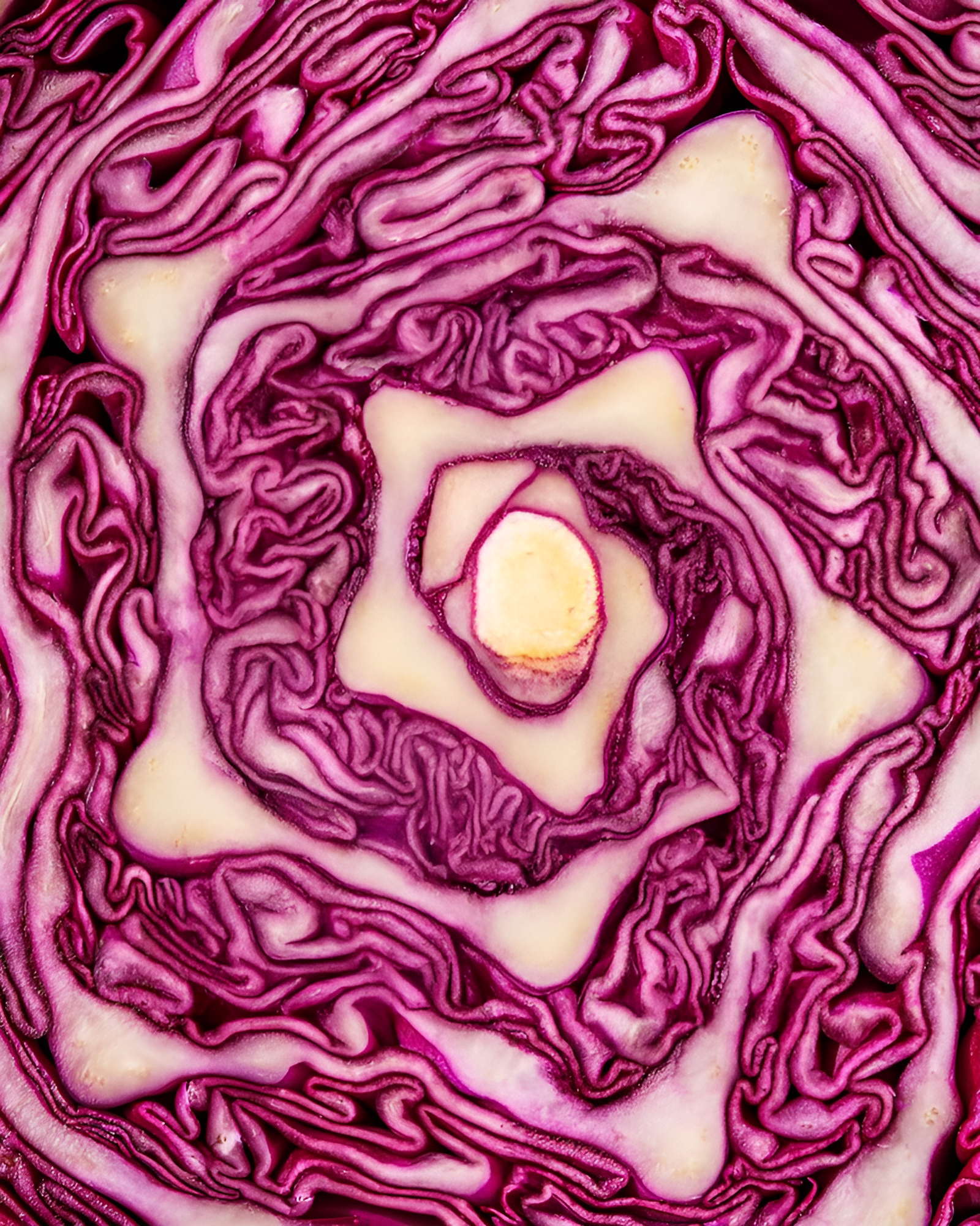 Colorful plant-forward dish collage