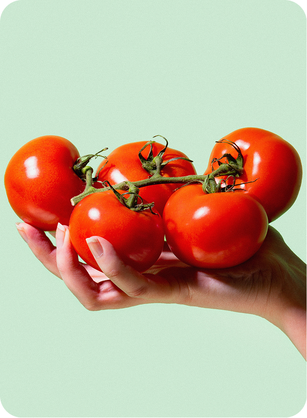 Tomatoes in hand