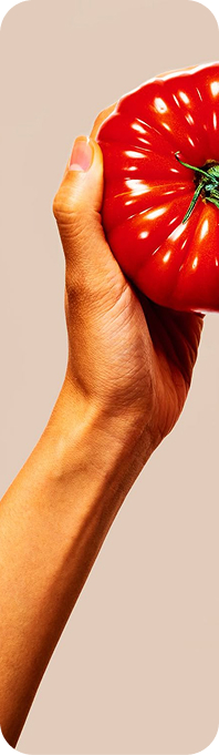 Chef slicing a tomato